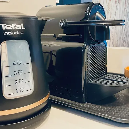 Ombre Des Pins A Tropez Xix