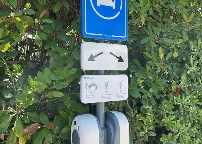 Ombre Des Pins A Tropez Xix Saint-Tropez