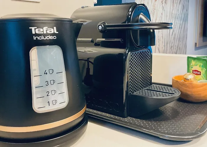 Ombre Des Pins A Tropez Xix